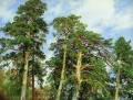 松の頂上 古典的な風景 イワン・イワノビッチの木々